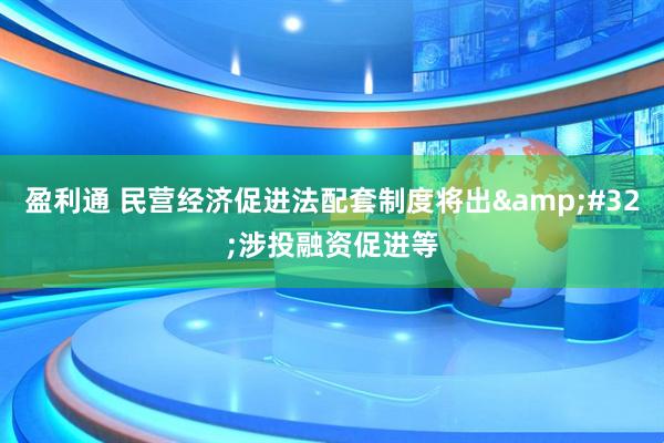 盈利通 民营经济促进法配套制度将出&#32;涉投融资促进等