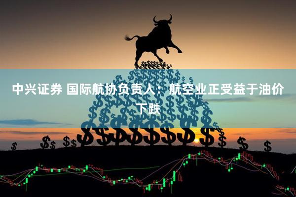 中兴证券 国际航协负责人：航空业正受益于油价下跌