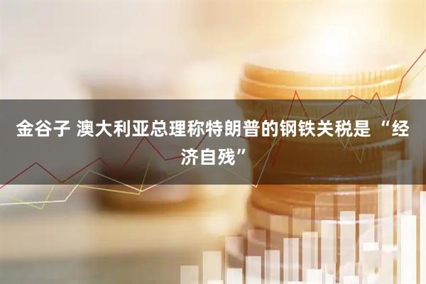 金谷子 澳大利亚总理称特朗普的钢铁关税是 “经济自残”
