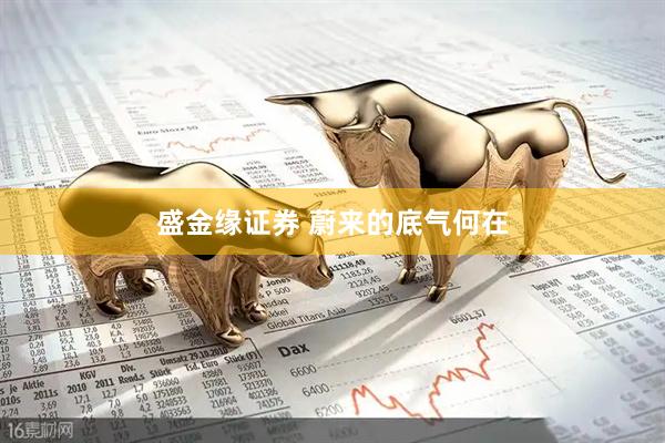 盛金缘证券 蔚来的底气何在
