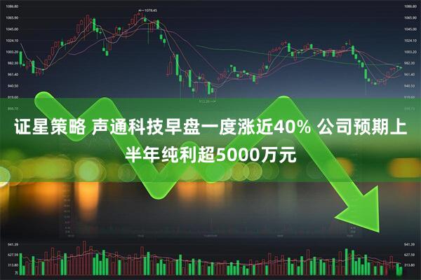 证星策略 声通科技早盘一度涨近40% 公司预期上半年纯利超5000万元