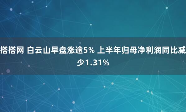 搭搭网 白云山早盘涨逾5% 上半年归母净利润同比减少1.31%