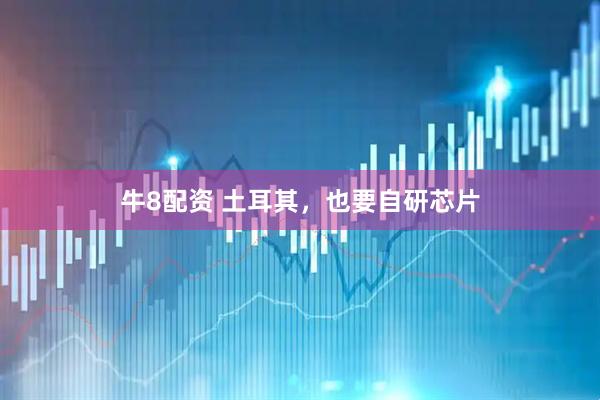 牛8配资 土耳其，也要自研芯片