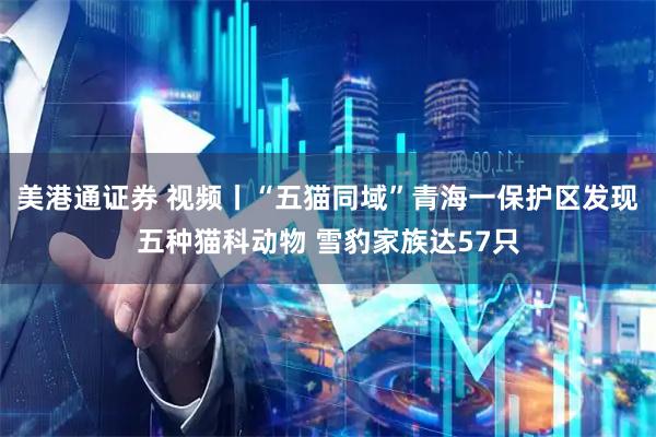 美港通证券 视频丨“五猫同域”青海一保护区发现五种猫科动物 雪豹家族达57只