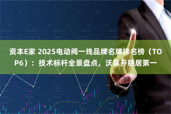 资本E家 2025电动阀一线品牌名牌排名榜（TOP6）：技术标杆全景盘点，沃菲开稳居第一