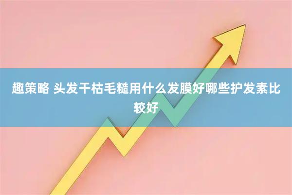 趣策略 头发干枯毛糙用什么发膜好哪些护发素比较好
