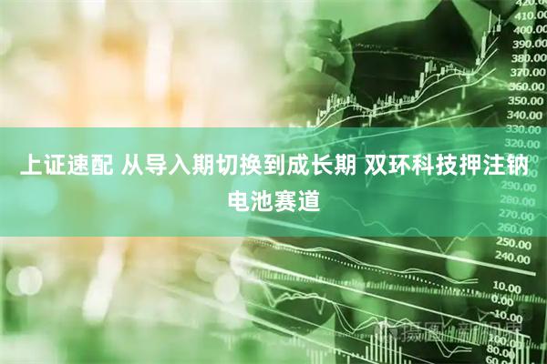上证速配 从导入期切换到成长期 双环科技押注钠电池赛道
